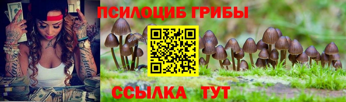 Галлюциногенные грибы Psilocybine cubensis  купить наркотик  Вход с VPN  Белогорск  Псилоцибиновые грибы Magic Shrooms 